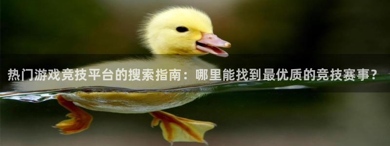 优贝娱乐娱乐：热门游戏竞技平台的搜索指南：哪里能找到最优质的