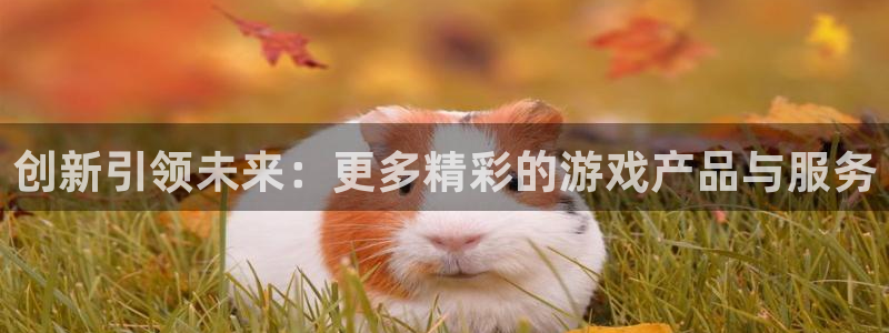 优贝娱乐注册登录：创新引领未来：更多精彩的游戏产品与服务