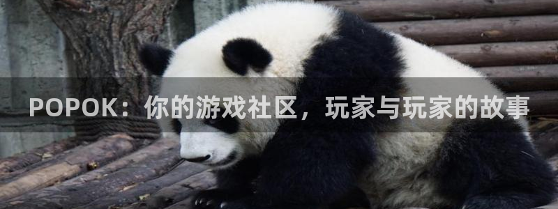 优贝娱乐测速登陆：POPOK：你的游戏社区，玩家与玩家的故事