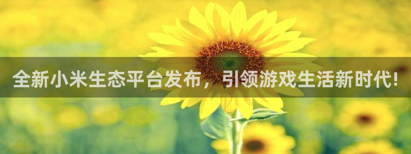 优贝娱乐注册官方登录app：全新小米生态平台发布，引领游戏生