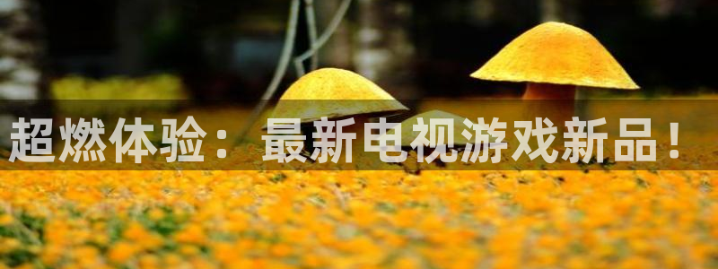 优贝娱乐登录网址：超燃体验：最新电视游戏新品！