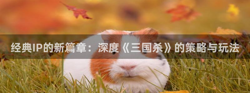 手机版优贝娱乐客户端下载：经典IP的新篇章：深度《三国杀》的