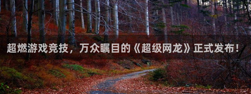 优贝娱乐的意思：超燃游戏竞技，万众瞩目的《超级网龙》正式发布